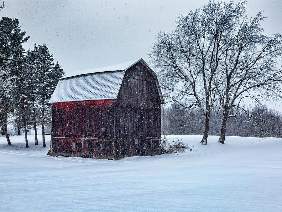 Winter Barn Photograph by Joe Holley