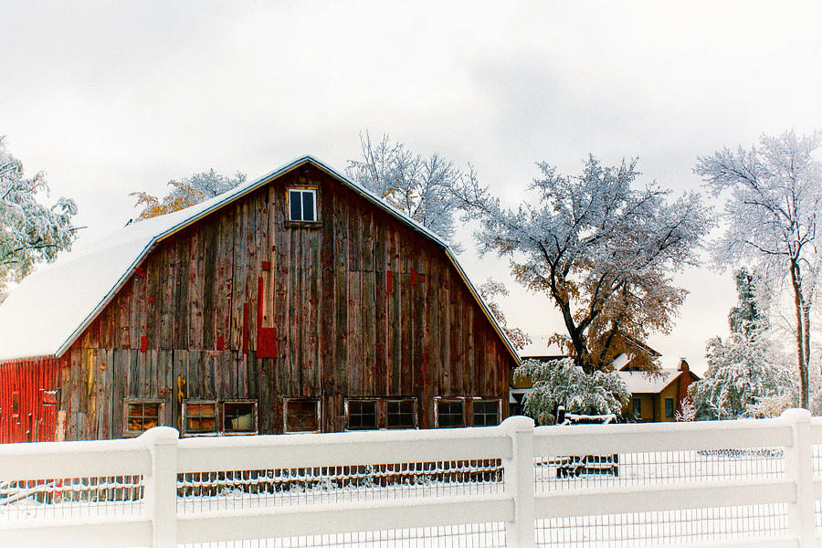 Winter Barn Photograph by Juli Ellen
