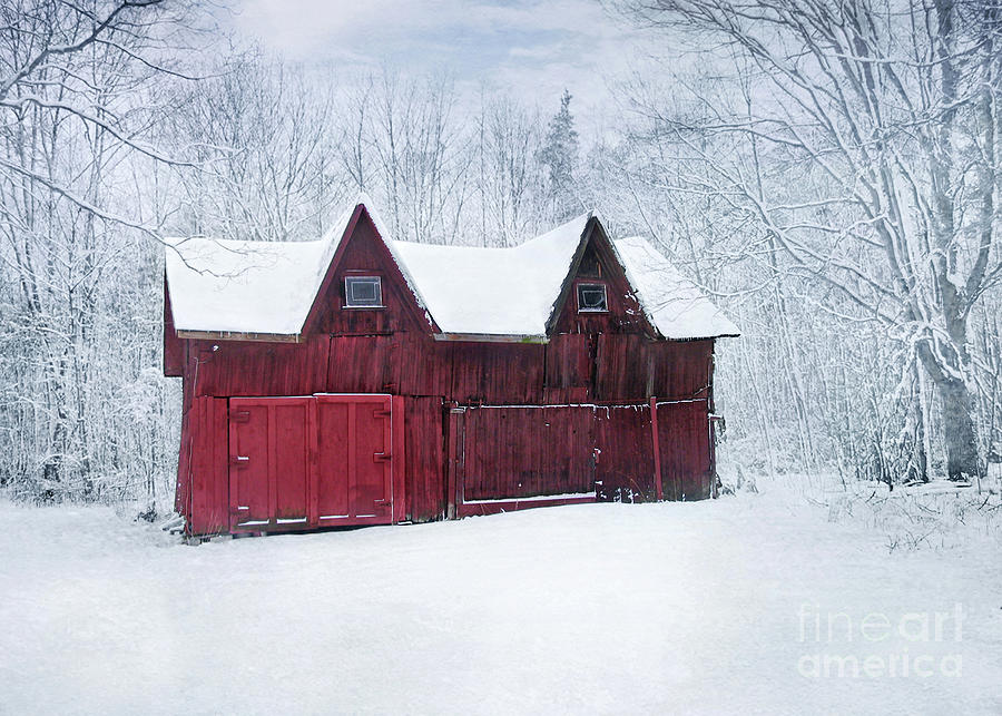 Tree Photograph - Winter Barn  by Kathi Mirto