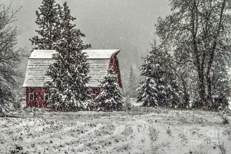 Barn Photograph - Winter Barn by Rick Mann Barn Photograph - Winter Barn by Rick Mann