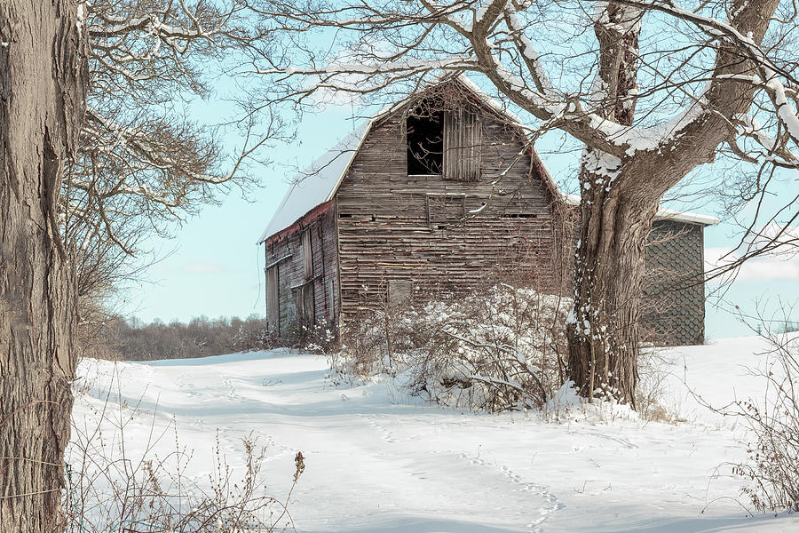 Winter Barn Photograph by Rod Best