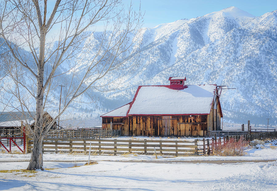 Winter Barn Photograph by Steph Gabler