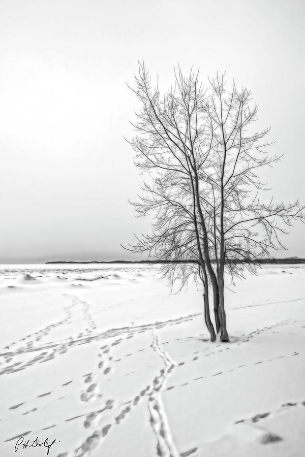 Nature Digital Art - Winter Beach Tracks by Phill Doherty