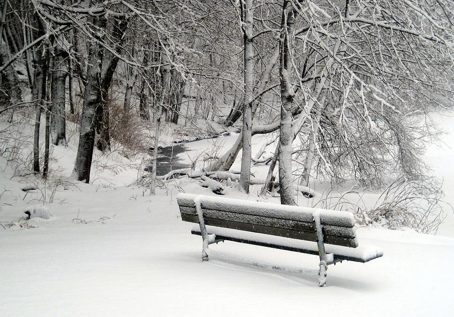 Winter Bench Photograph by Suzanne DeGeorge