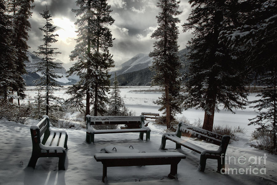 Winter Benches By Beauty Creek Photograph by Adam Jewell