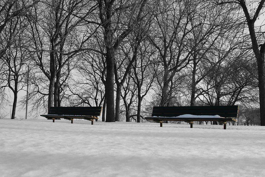 Winter Benches Photograph by Dylan Punke