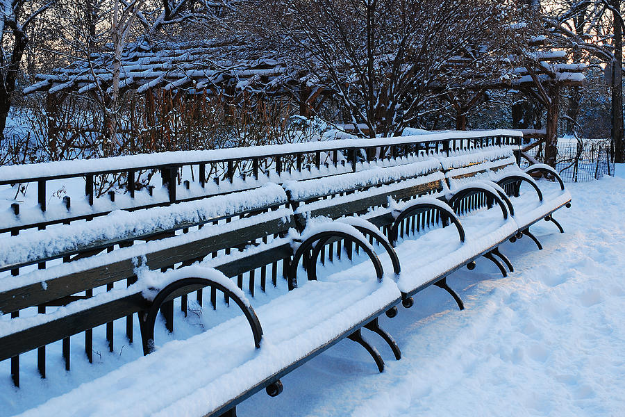 Winter Benches Photograph by James Kirkikis