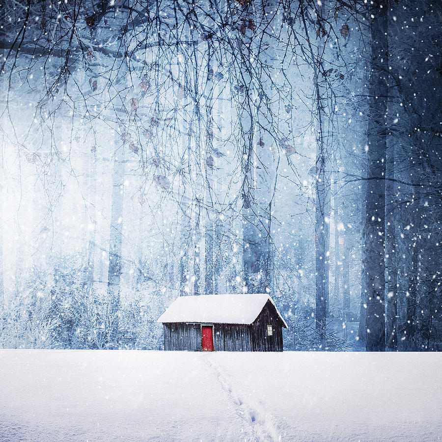Winter Photograph by Bess Hamiti