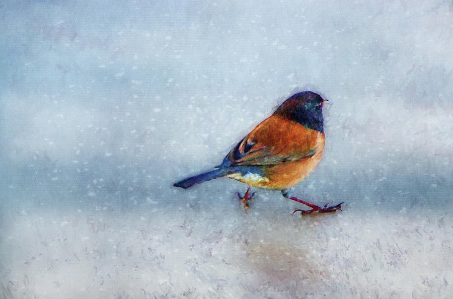 Winter Bird Digital Art by Terry Davis