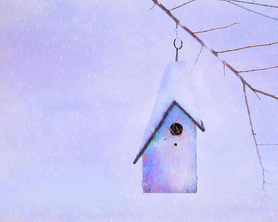 Winter Birdhouse  Photograph by Theresa Tahara