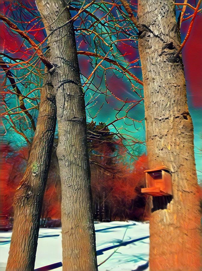 Winter Birdhouse With Colorful Sky Digital Art