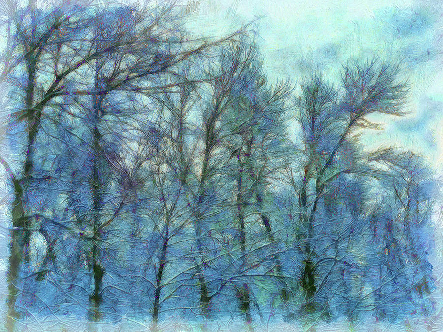 Winter Blue Forest Digital Art by Leslie Montgomery