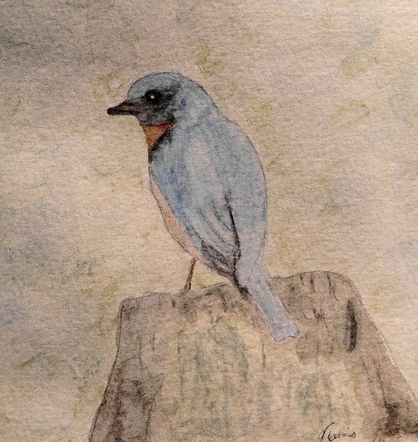 Winter Bluebird Painting by Angela Davies