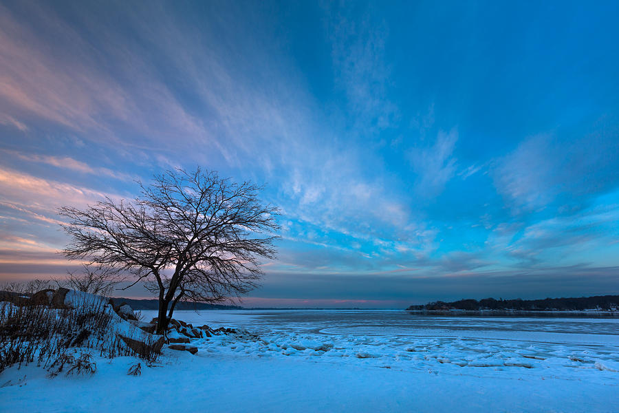 Winter Blues Photograph by Arti Panchal