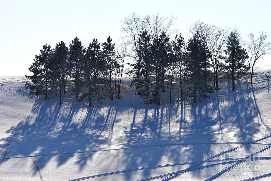 Landscape Photograph - Winter Blues by D Nigon