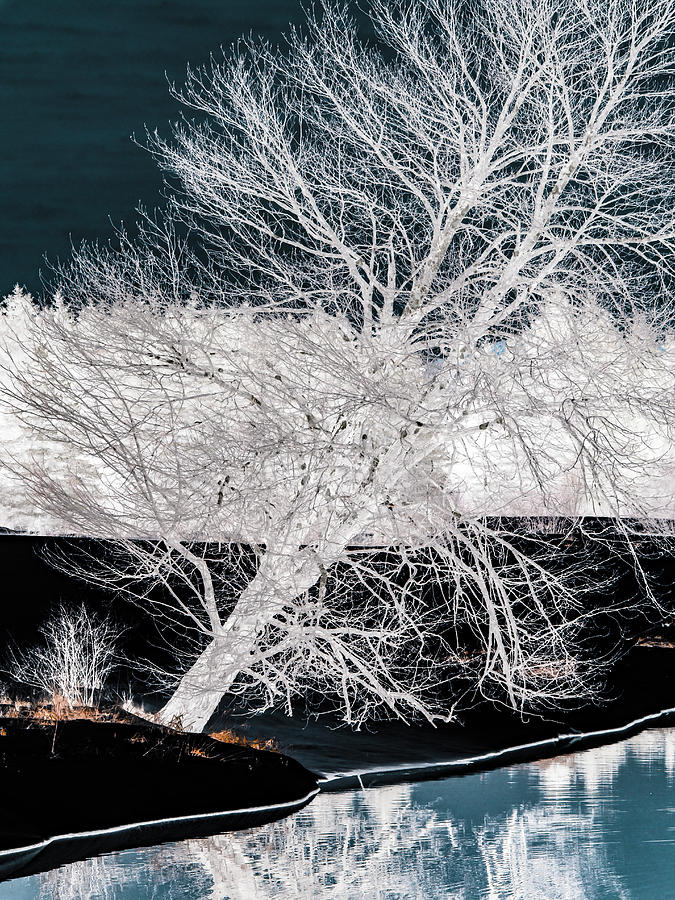 Winter Blues by Donna Lee Winter Blues by Donna Lee