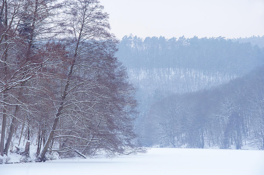 Winter Blues Photograph by Jenny Rainbow
