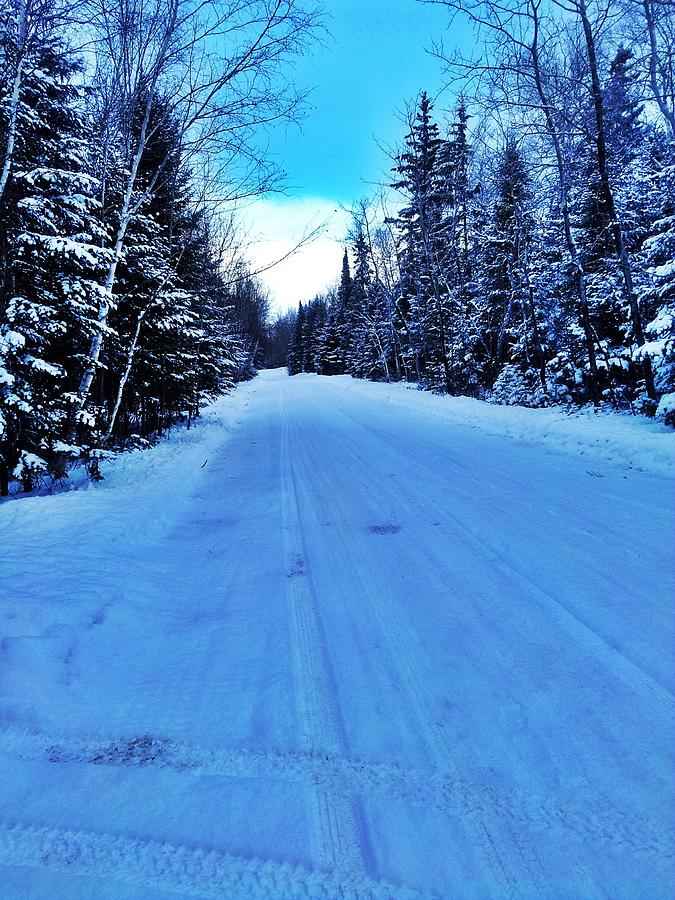 Winter Blues by Sharilee Swaity Winter Blues by Sharilee Swaity