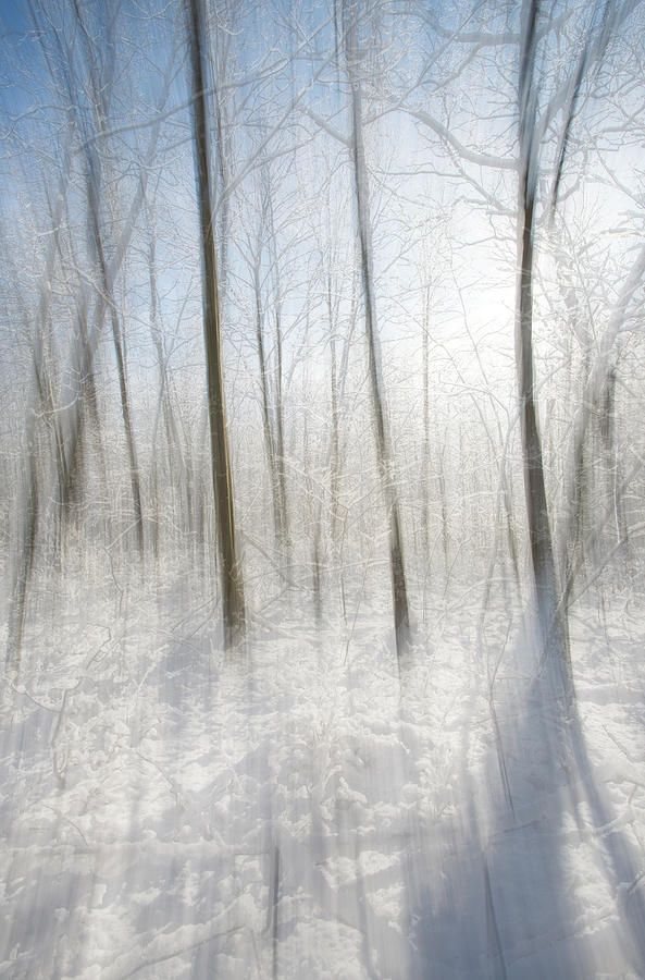 Winter Blues Photograph