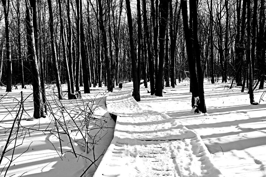 Winter Boardwalk In Black And White Photograph by Debbie Oppermann