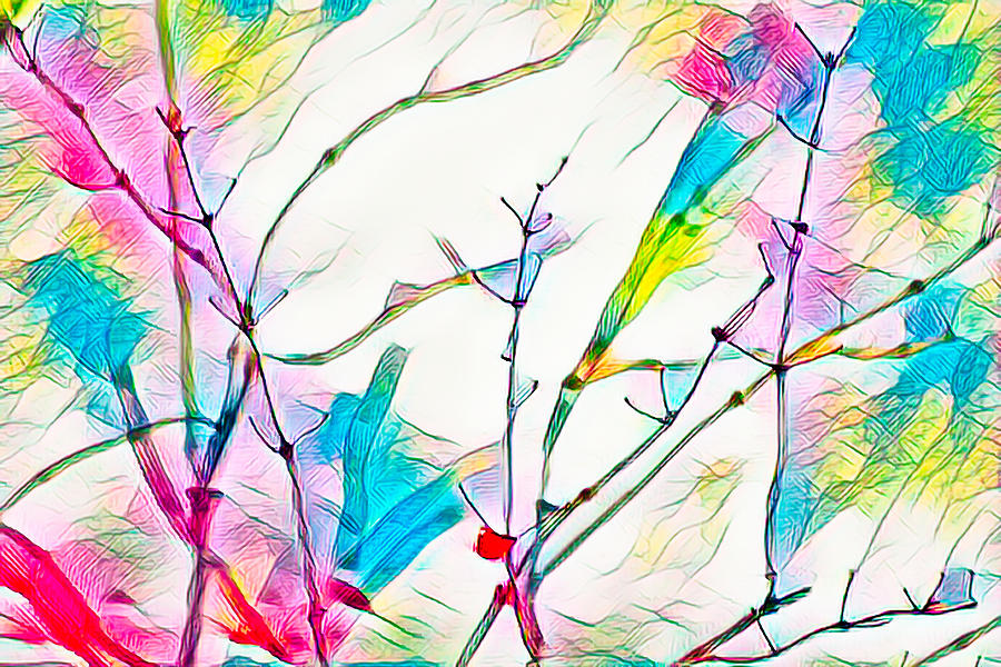 Winter Branch Colors Photograph by Scott Carlton