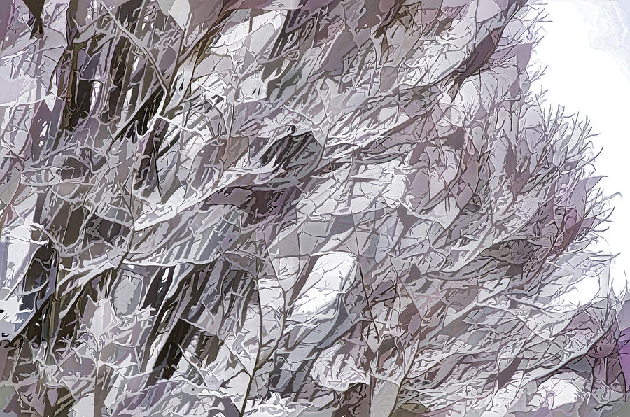 Winter Branches 1 Painting by Jeelan Clark