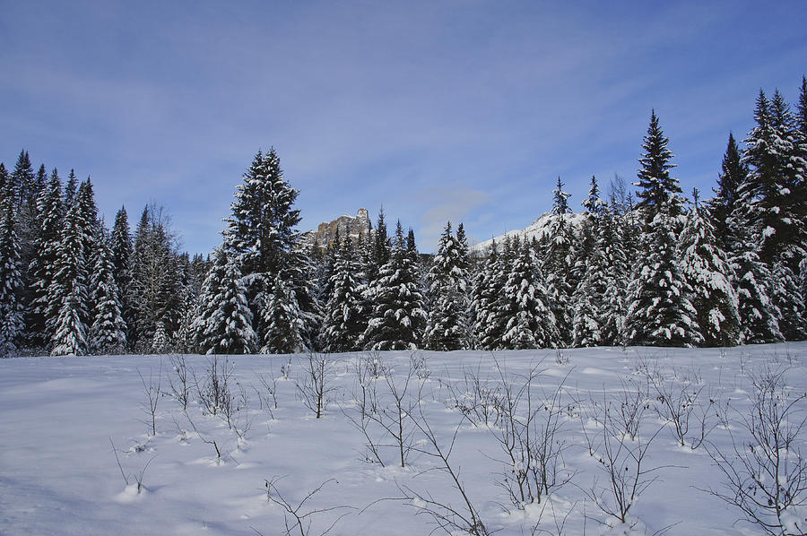 Winter Photograph by Brian Kamprath