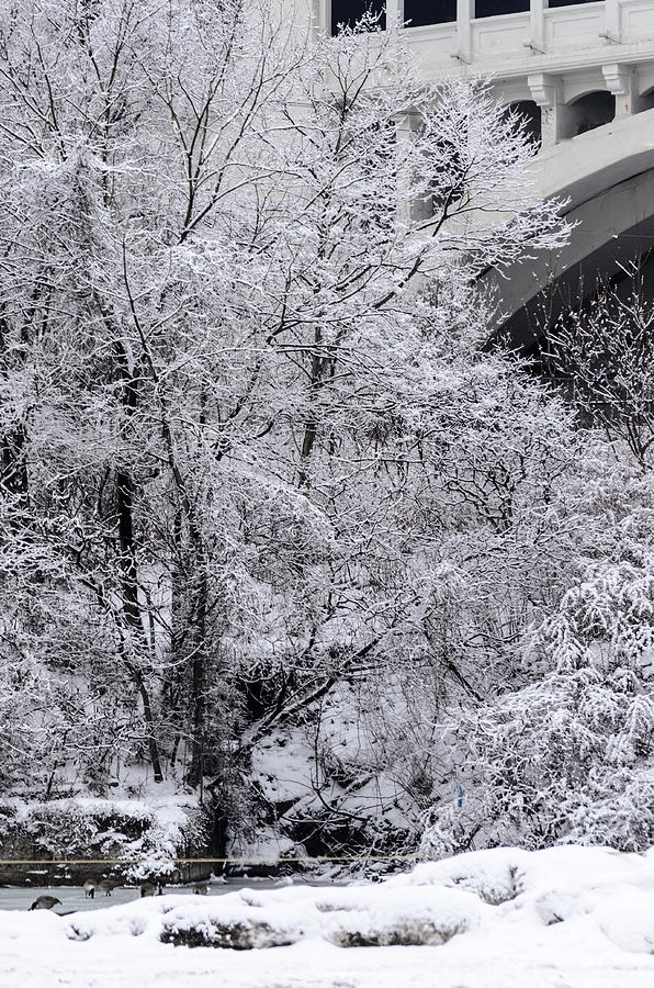 Winter Bridge Photograph by Stewart Helberg