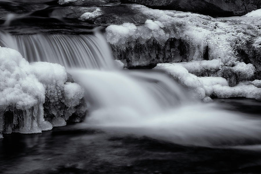 Winter Brook In Black and White Photograph by Tom Singleton