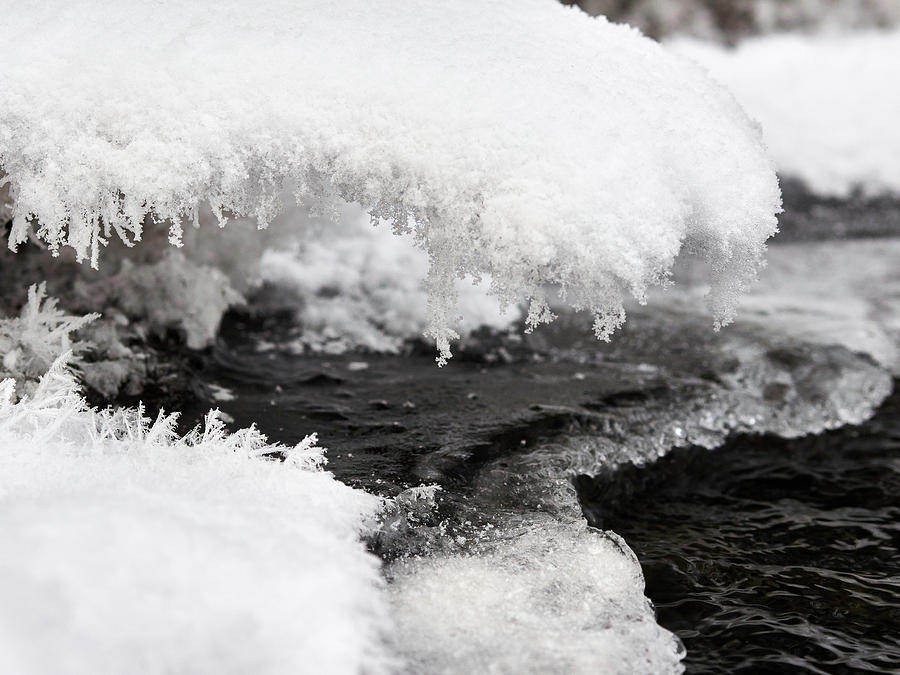 Winter brook Photograph by Jouko Lehto