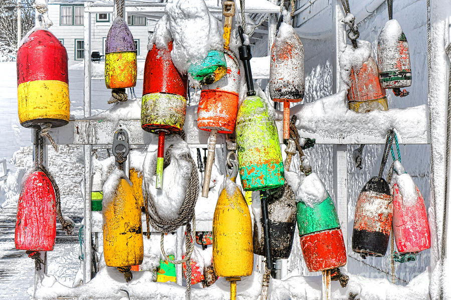 Winter Photograph - Winter Buoys by Olivier Le Queinec