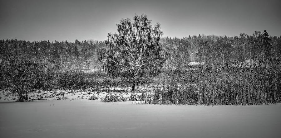 Winter BW #h2 Photograph by Leif Sohlman