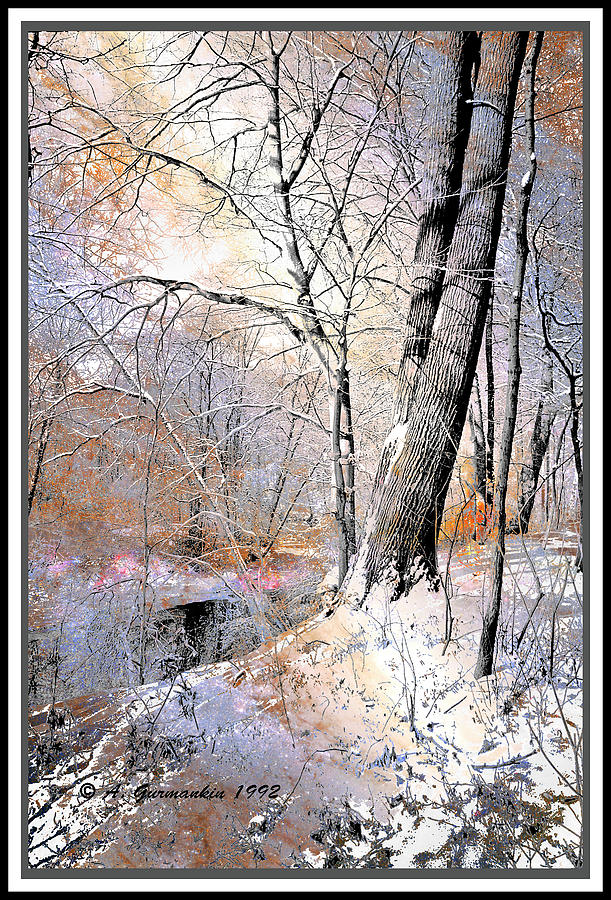 Winter by a Pennsylvania Stream, Digital Art Photograph by A Macarthur Gurmankin