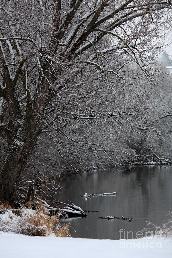 Calm Winter Day on the Yakima River Photograph by Carol Groenen