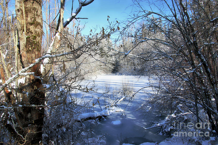 Winter Came to Visit Photograph by Cheryl Rose