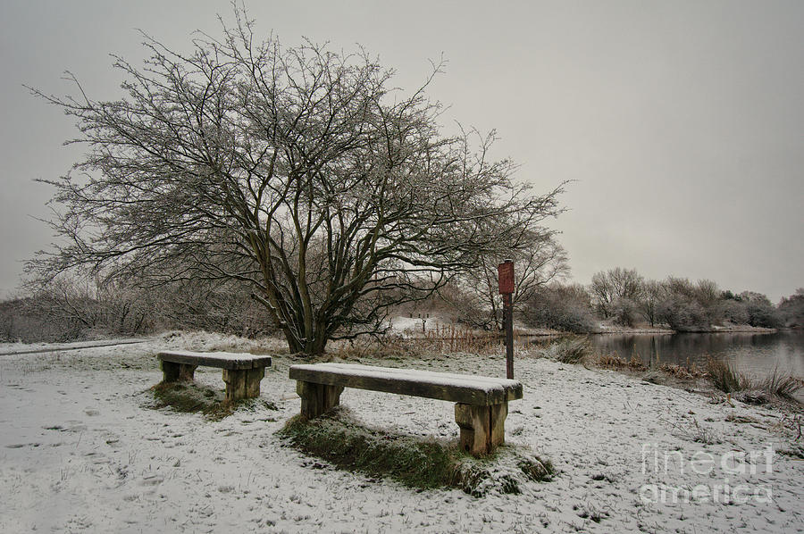 Winter Canal Landscape Photograph