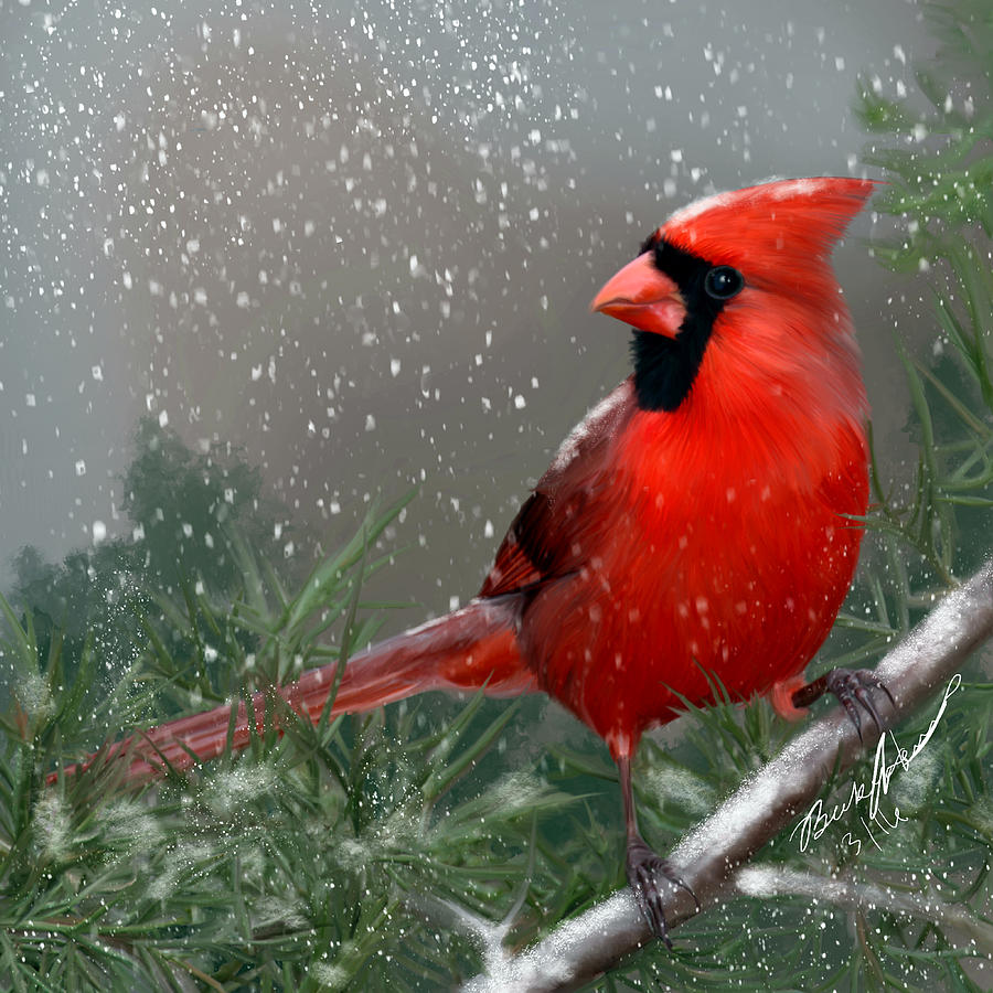 Winter Cardinal Painting by Becky Herrera