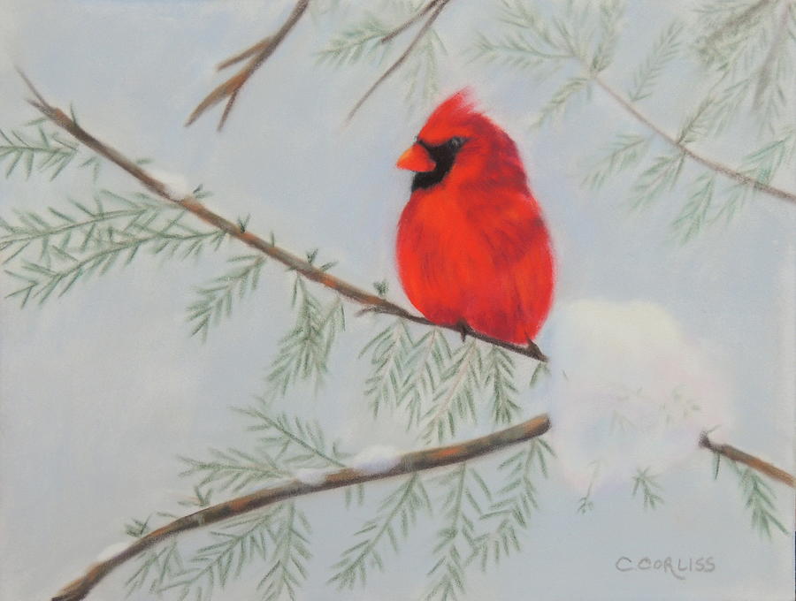 Winter Cardinal Pastel by Carol Corliss
