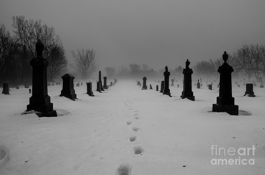 Winter Cemetery Photograph by M G Whittingham