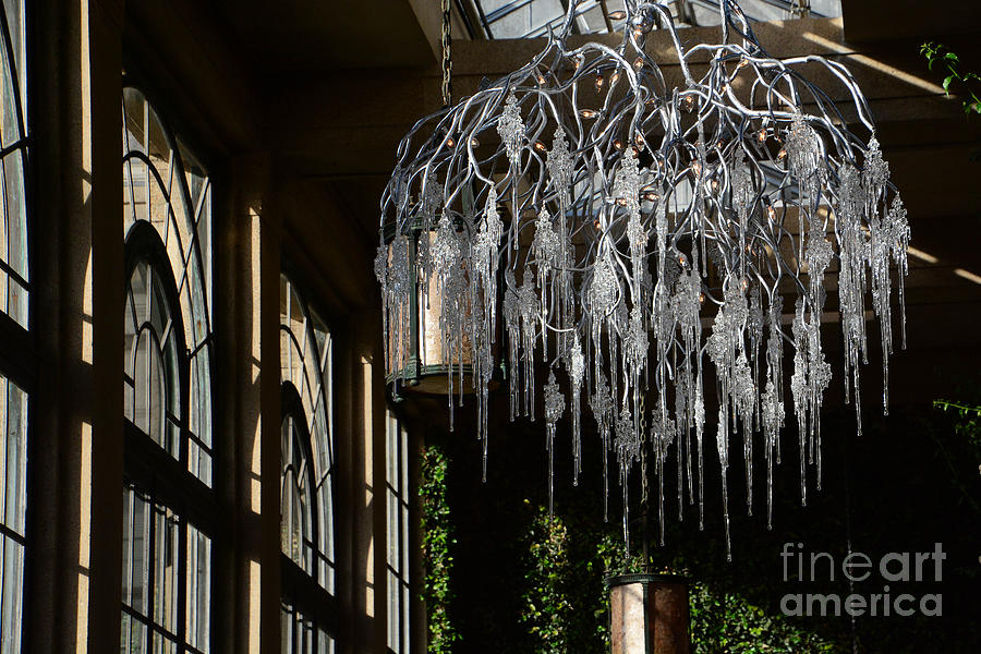 Winter Chandelier Photograph by Cindy Manero