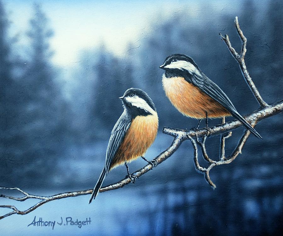 Winter Chickadees Painting By Anthony J Padgett - Fine Art America