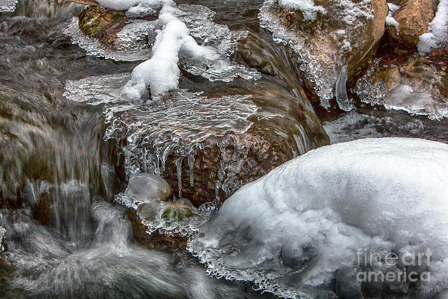Winter Chill Photograph by David Millenheft