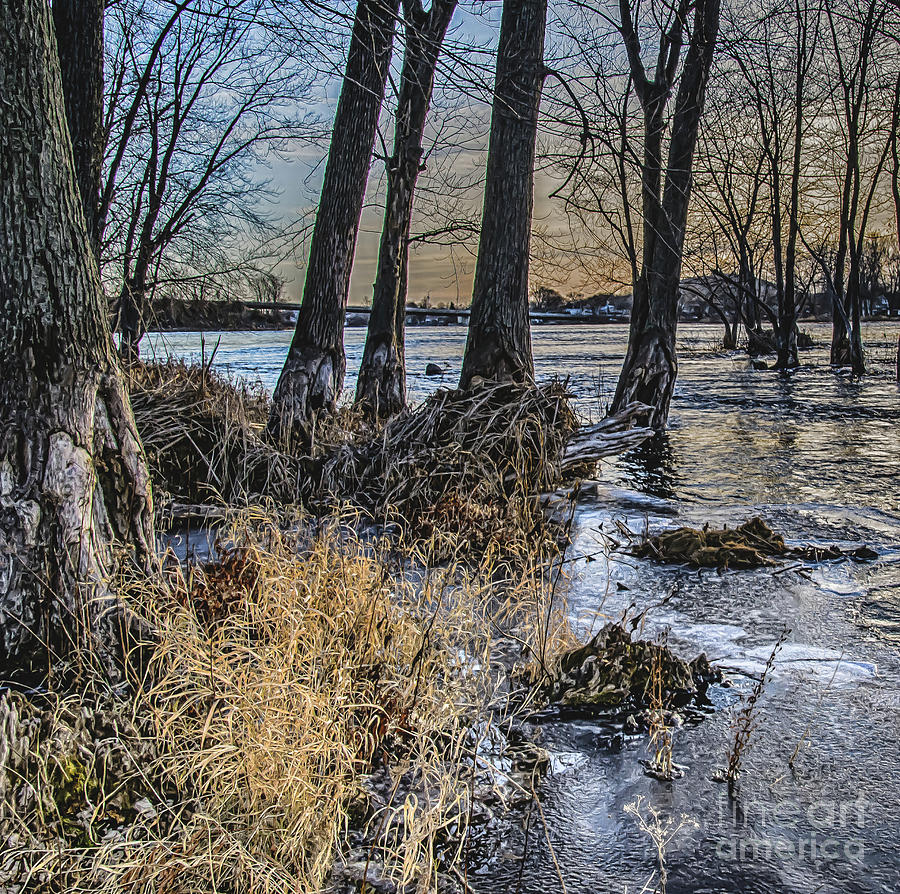 Winter Chill by Julie Chambers Winter Chill by Julie Chambers