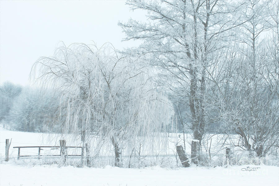 Winter Chill Photograph by Jutta Maria Pusl
