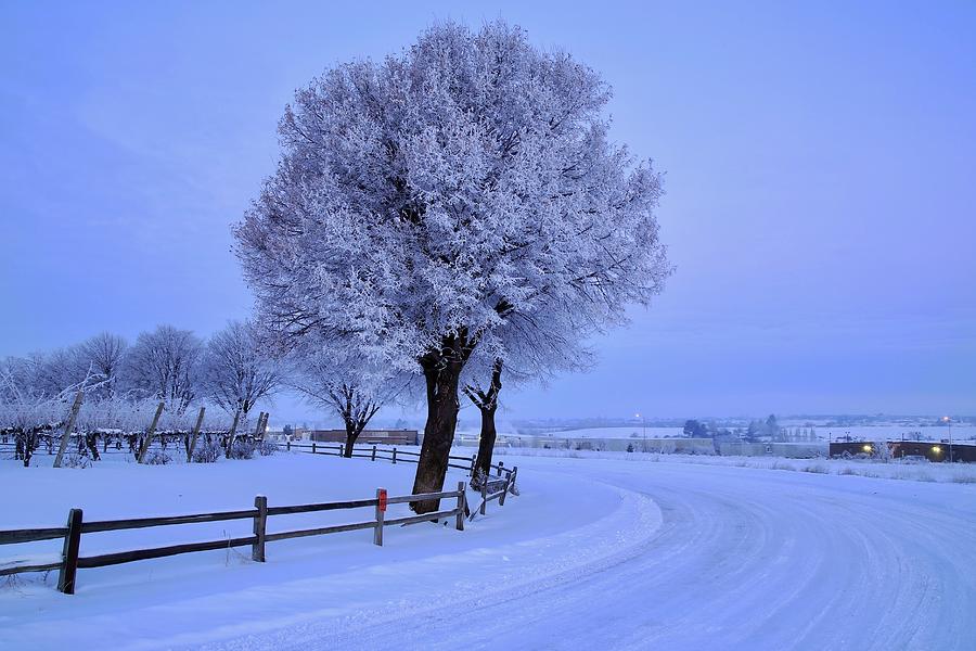 Winter Photograph - Winter chill version 2 by Lynn Hopwood
