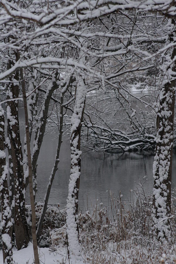 Winter Photograph by Christopher J Kirby