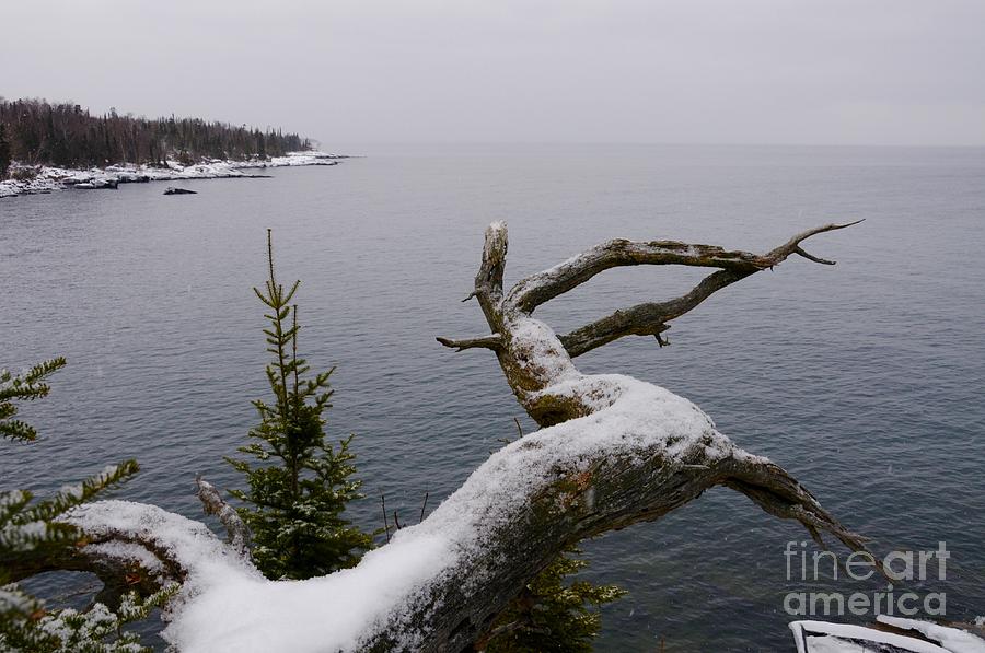 Winter Cliff View Photograph by Sandra Updyke
