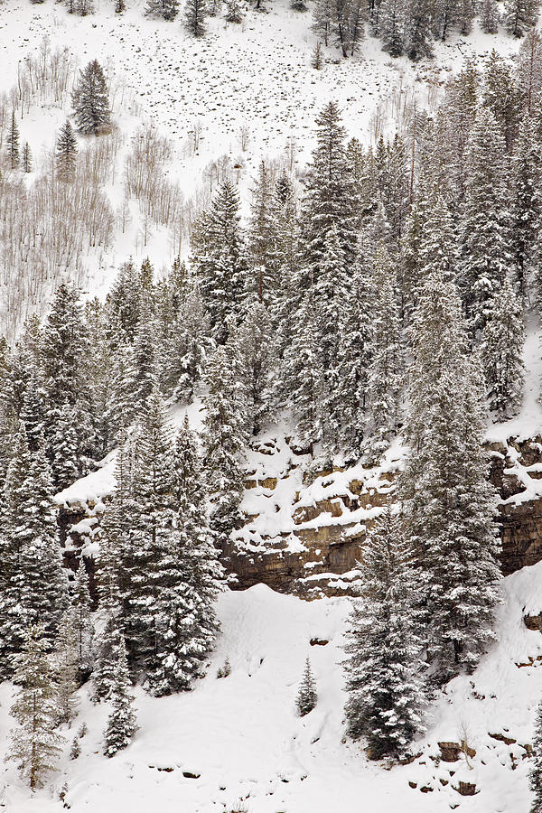 Winter Cliffs Photograph by Harold Stinnette