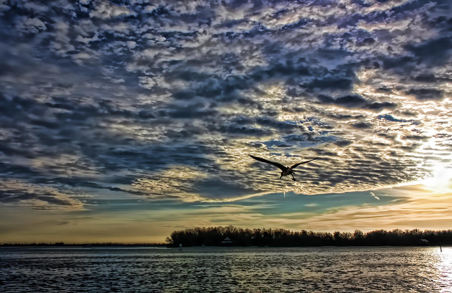 Winter Clouds 2 Photograph by HH Photography of Florida