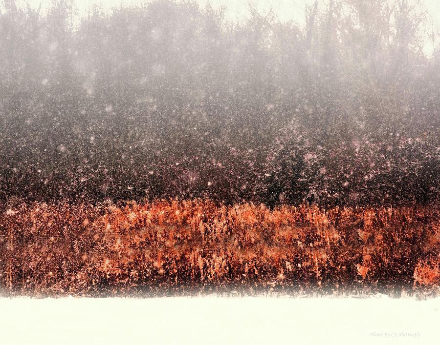 Winter Photograph by Coke Mattingly Winter Photograph by Coke Mattingly